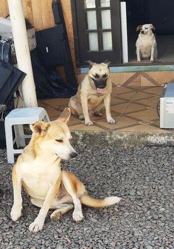 Trio para dura 😍😍